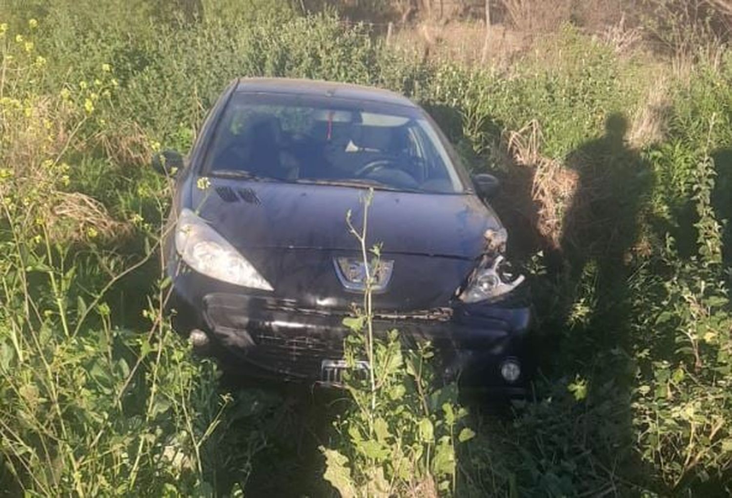 Una pareja de Gualeguaychú despistó en Ruta 12 luego de chocar contra un animal