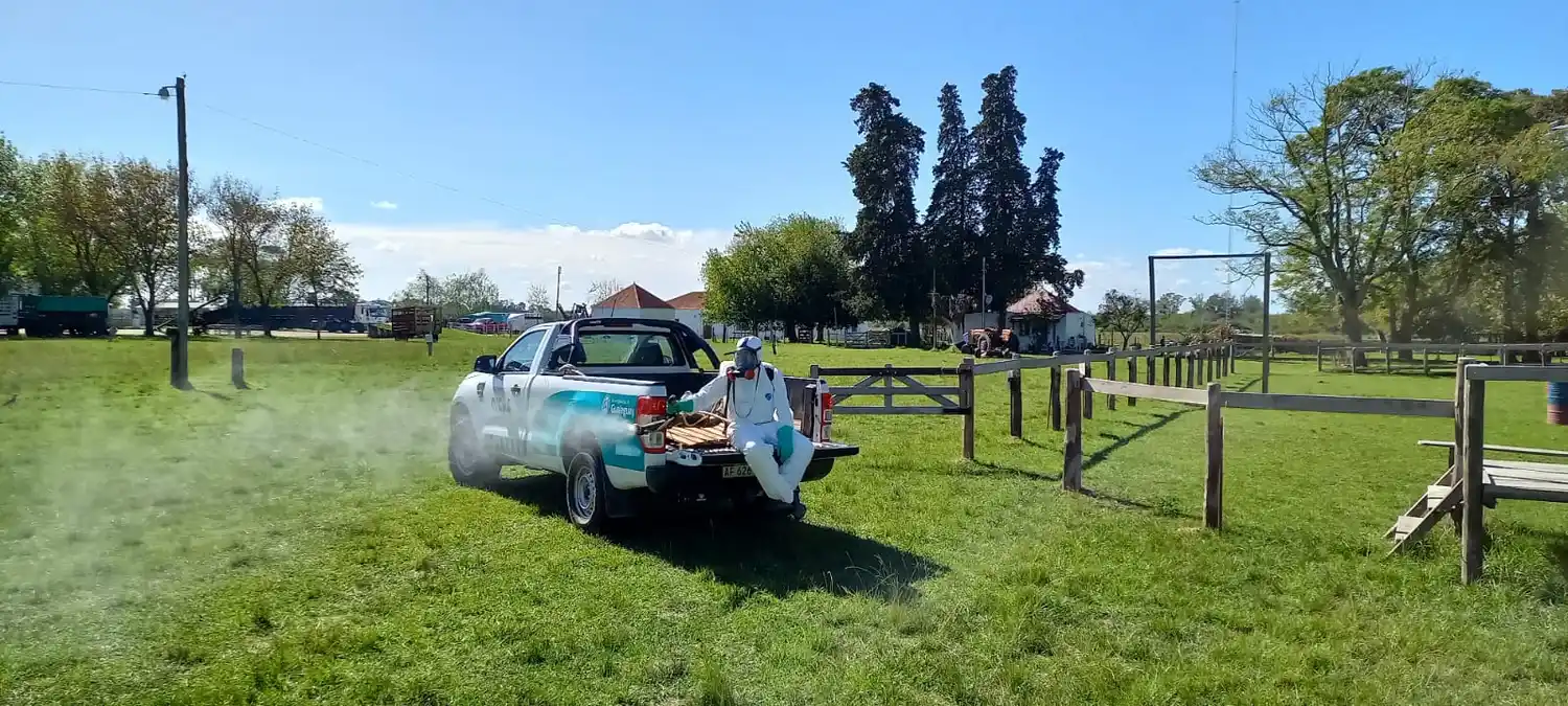 El municipio fumiga contra el Dengue