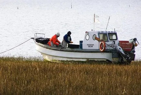 Monte Hermoso: Nueva terminal para pescadores artesanales
