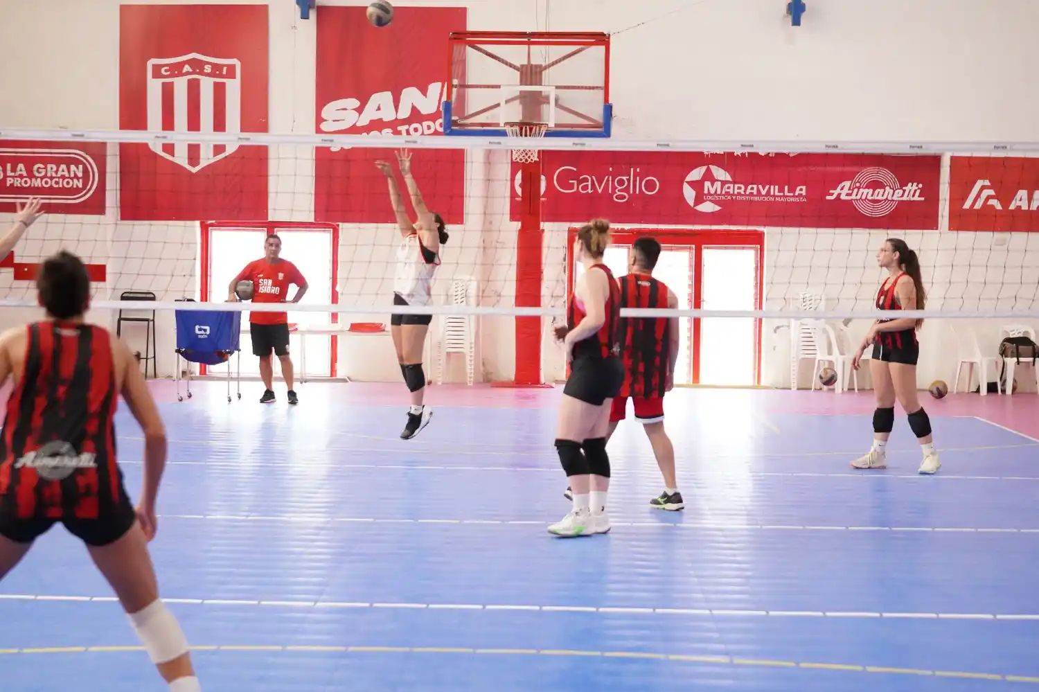 voley
