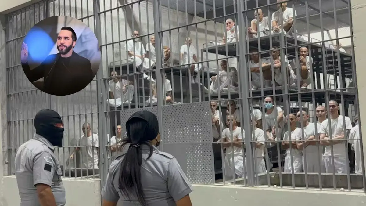 Congresista pide que saquen a PATADAS AL TREN DE ARAGUA DE EE.UU.: “Si no los acepta Caracas, los va a recibir Bukele” (+Video)