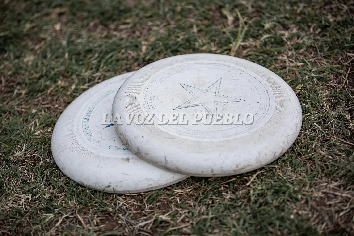 Esta mañana comienza la actividad del Nacional Mixto de Ultimate Frisbee en la cancha de Olimpo