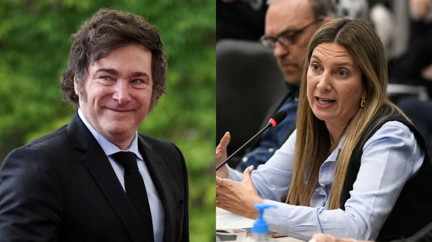 Lospennato contra los libertarios: "¿El PRO es bueno de un lado de la avenida General Paz y es malo del otro lado?”