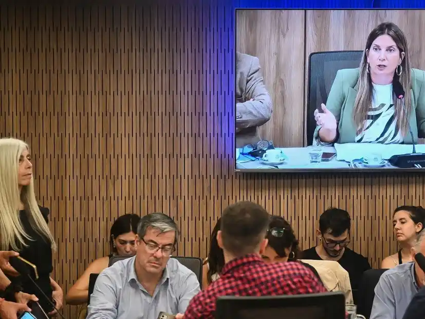 Al tratarse de un tema electoral, la norma necesita mayoría especial, es decir, 129 votos afirmativos.