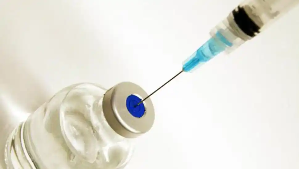 Gesell detectó un murciélago con rabia y el municipio vacunó a perros y gatos