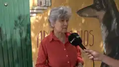 Tras reclamo por estado de los caniles, el Ejecutivo recibió a proteccionistas