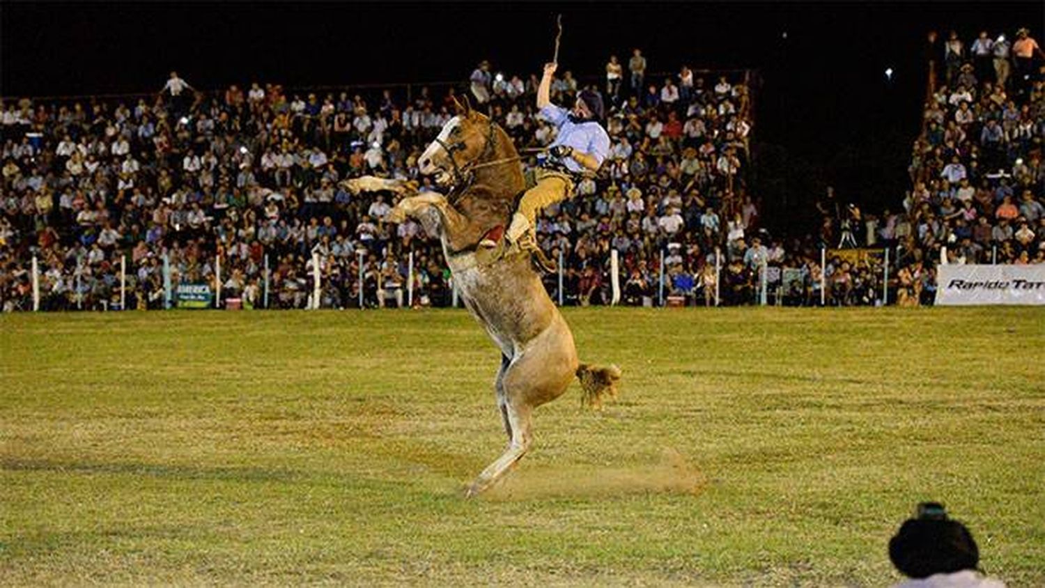 El Gobierno provincial acompaña la nueva edición del  Festival Nacional de Jineteada y Folclore