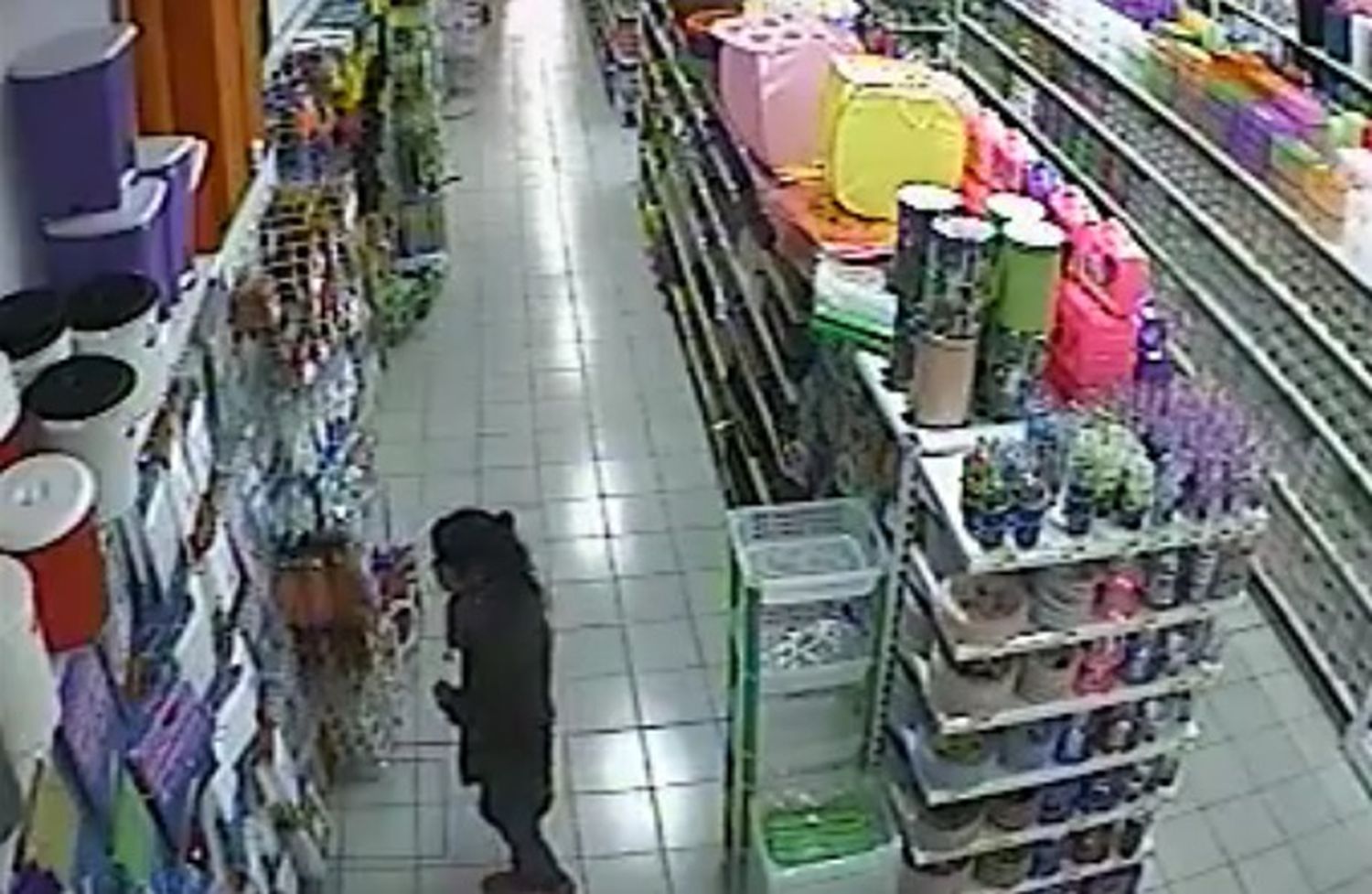 Filman a mujer llevándose mercadería de un bazar de la ciudad