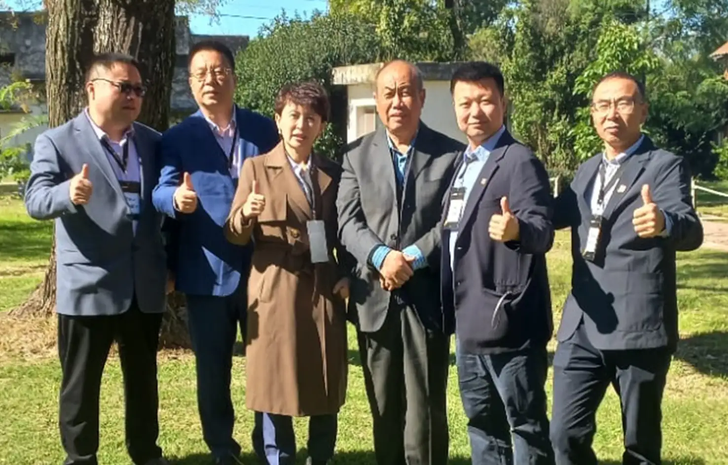 China puso el ojo sobre caballos y ponis argentinos