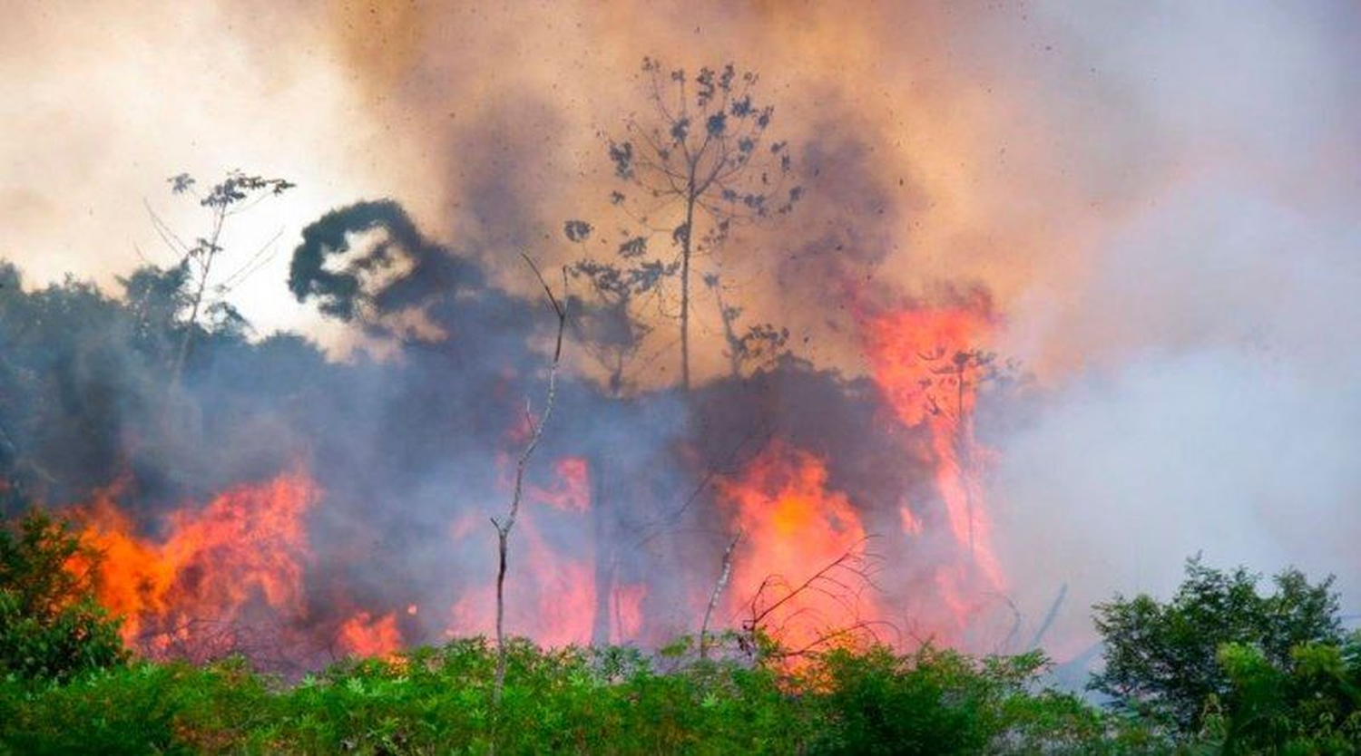 Incendios forestales en Bolivia y Brasil: ¿Podría llegar el humo a Gualeguaychú?