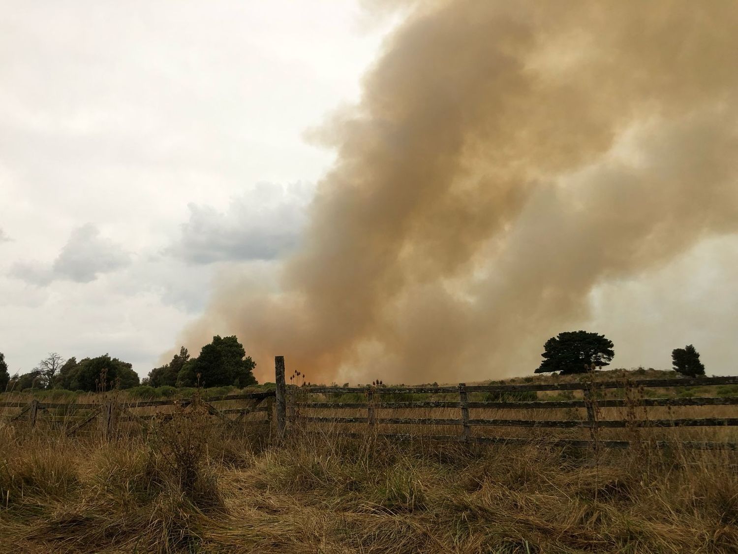 Un importante incendio se desató durante el mediodía del domingo en el faldeo serrano.