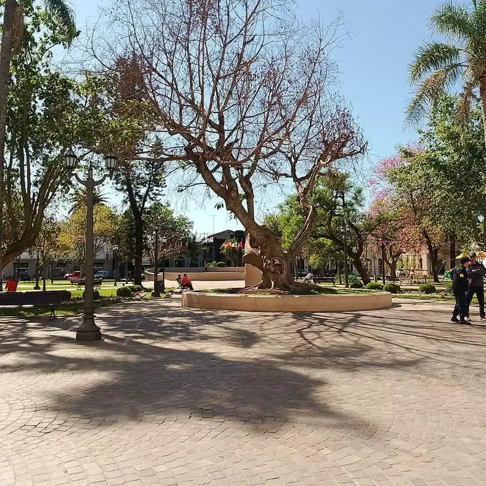 El 25 de Mayo no se trasladará