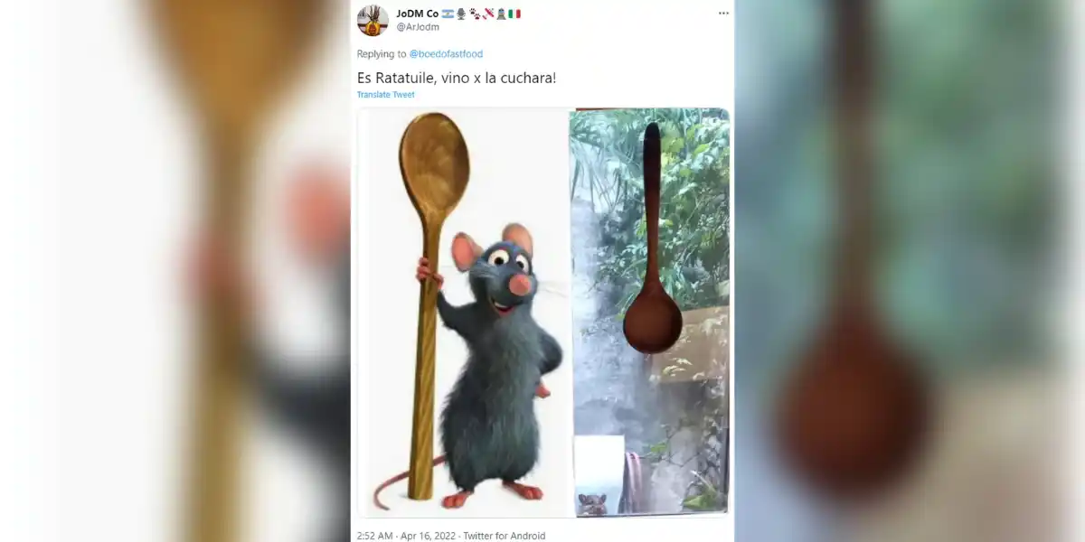 #TernuraTotal | Quiso quejarse de una invasión de ratas pero causó el efecto contrario: “La foto literalmente más tierna”