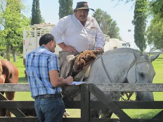 Renatea fiscalizó explotaciones ganaderas en Entre Ríos