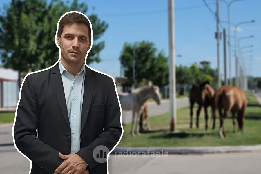 Viotti: “Vamos a tener que modificar la ordenanza y prohibir los caballos en la ciudad”