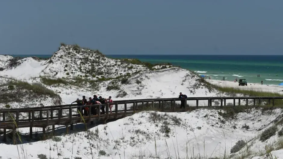 ALARMA EN FLORIDA por ataque de tiburones: 3 personas heridas (+ Detalles)