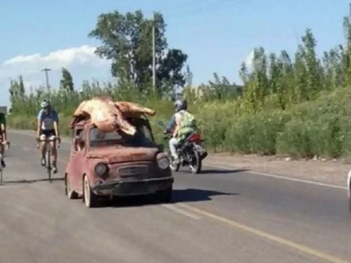 Volcó un camión con carne y los vecinos se llevaron la mercadería hasta en los techos de los autos
