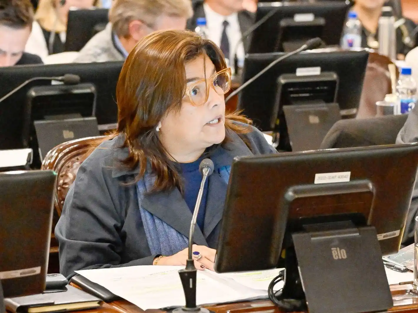 Diputados presentan pedido de informes para esclarecer presuntas irregularidades en Comedores Escolares de Concordia