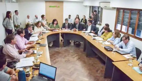 Senadores comenzaron con el análisis del proyecto para la creación de OSER