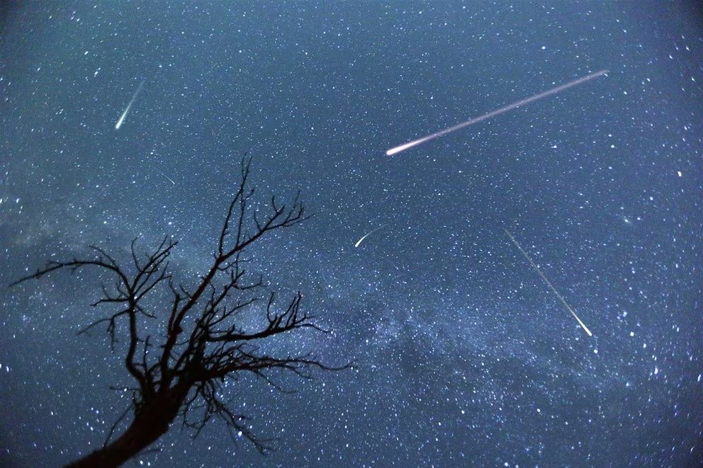 Entre el 17 y viernes 18 de noviembre los amantes de los eventos astronómicos podrán deleitarse de la lluvia de estrellas (NAT GEO).