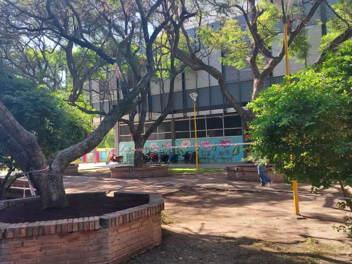 Realizan una intervención ecológica en arboles del Centro Cívico