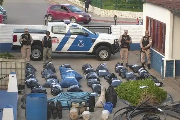 Prefectura desmanteló una plantación de marihuana en el Delta del Paraná