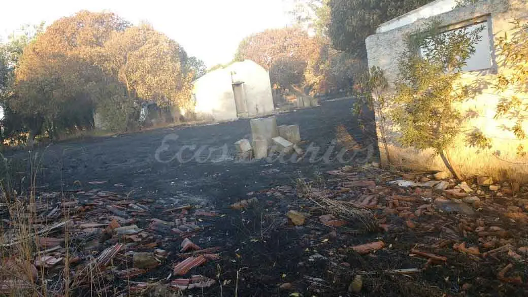 Se quemaron varias hectáreas tras un incendio intencional -FOTOGALERÍA-