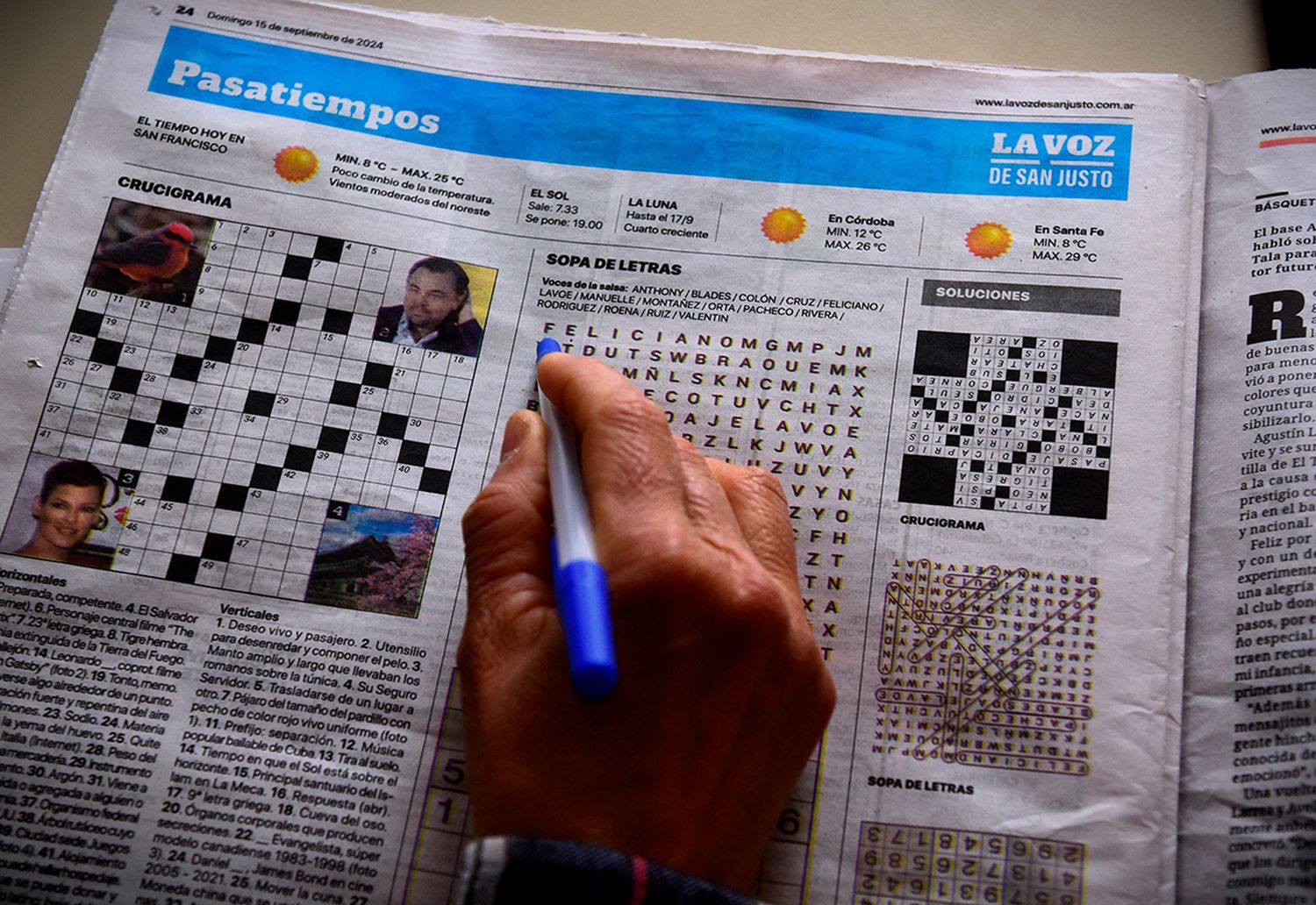 Los pasatiempos como crucigramas o sopa de letras son muy importantes para mantener el cerebro activo