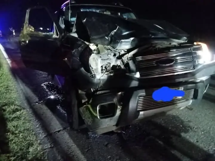 Dos vehículos atropellaron a una vaca