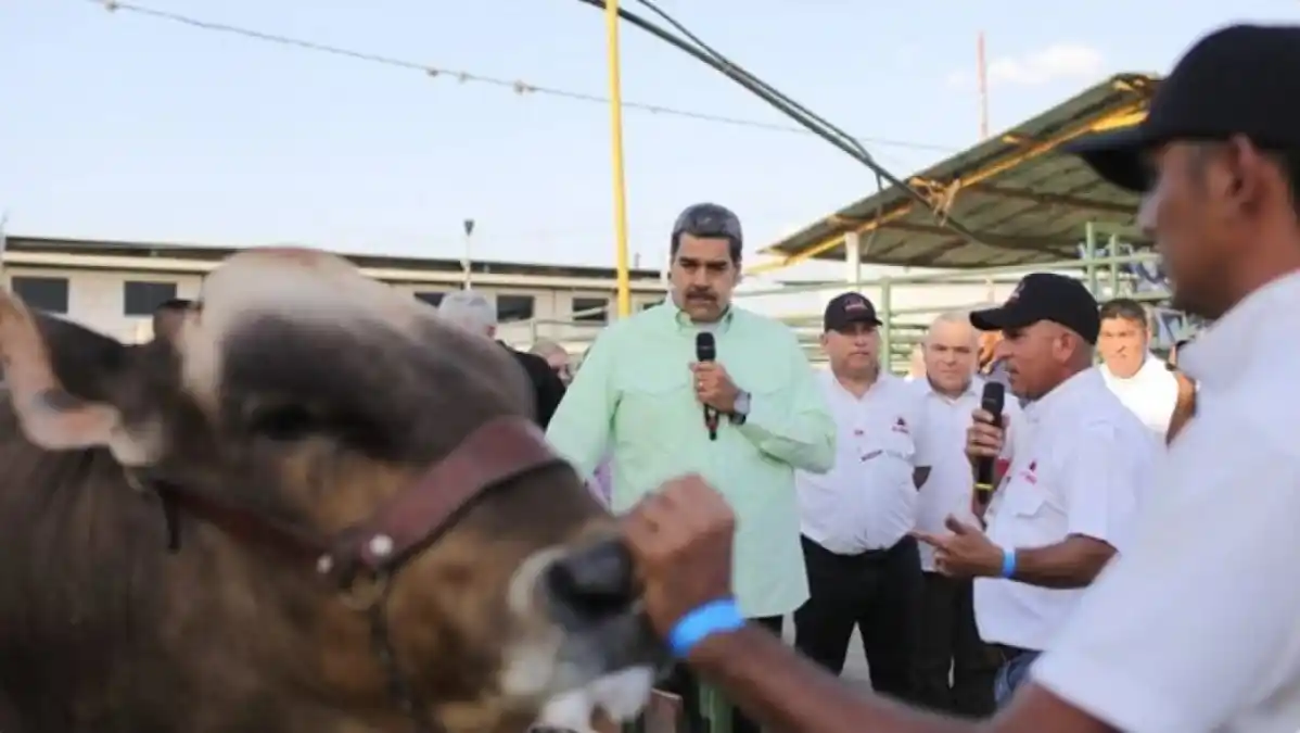 SEGÚN MADURO, ampliar y democratizar el crédito para los productores es una «súper prioridad»,