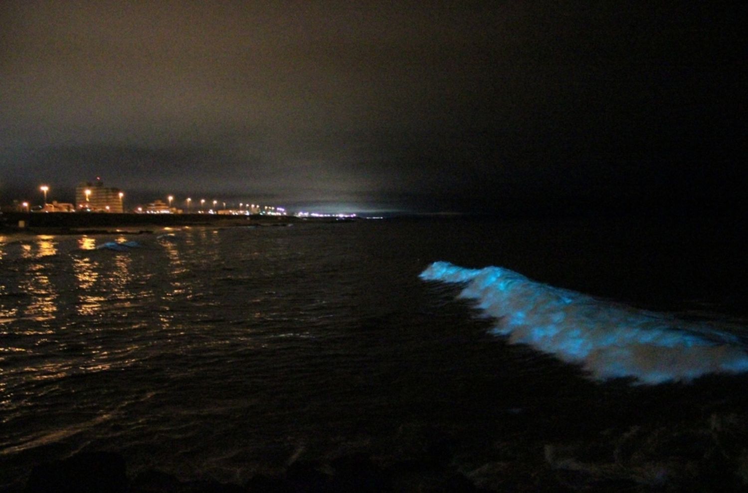 El increíble fenómeno que sorprendió a todos en Mar del Plata