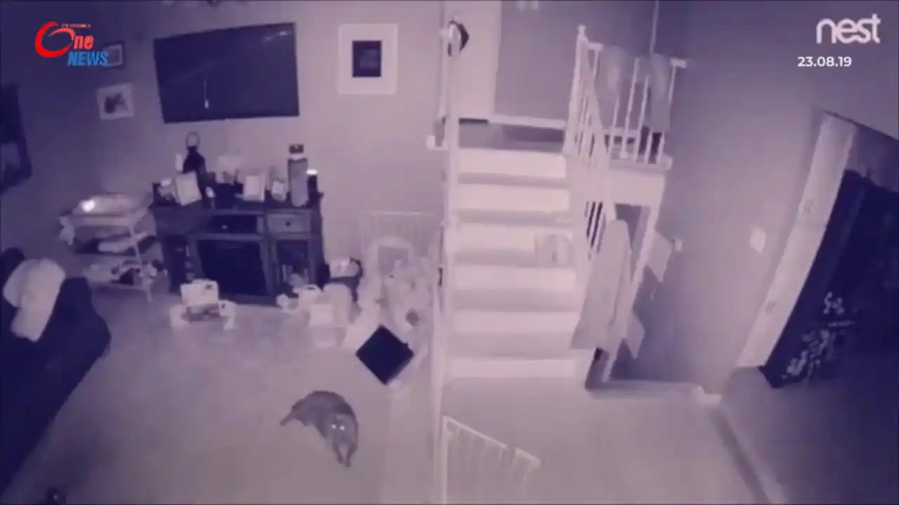 Revisó las cámaras de seguridad y descubrió algo terrorífico