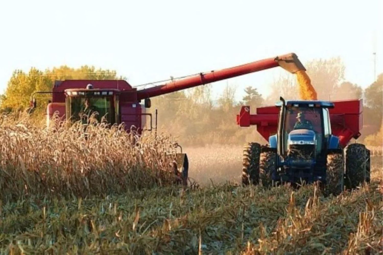 el sector agropecuario no ha quedado exento de los efectos negativos de la escalada de la divisa, manifestándose en un impacto directo en los precios y en la disponibilidad de elementos cruciales para la producción agrícola.