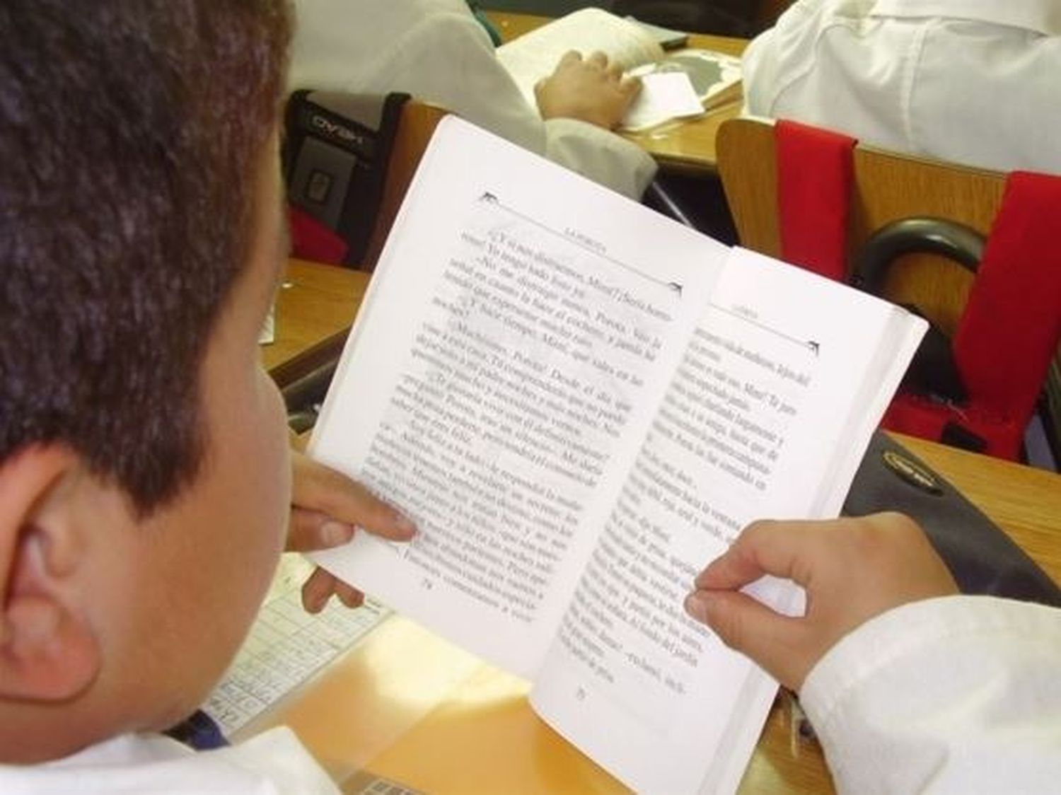 Alfabetización: Uno de cada cuatro alumnos pasa a la secundaria sin comprender lo que lee