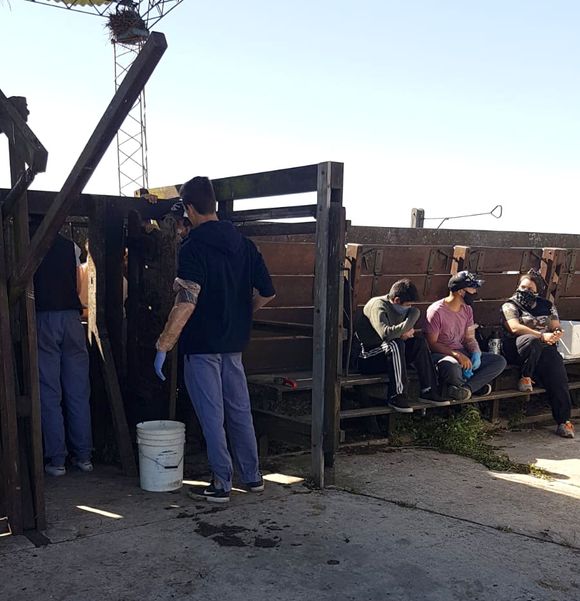Capacitaciones en inseminación y producción de biogás en la Chacra