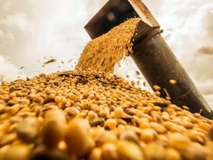 Retenciones: Juntos por el Cambio bonaerense pide que Kicillof fije una postura