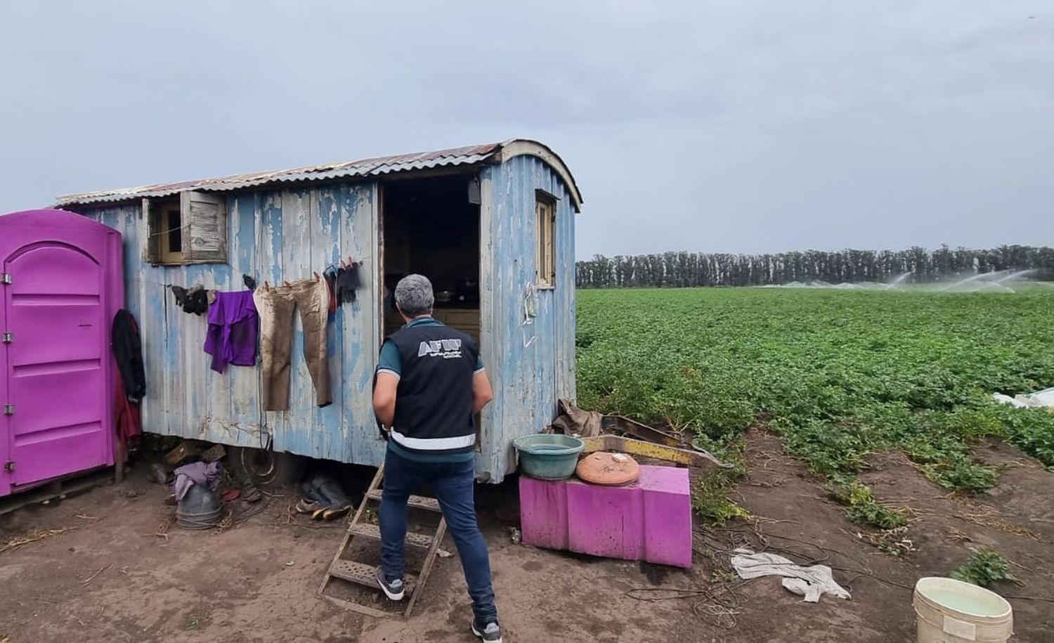AFIP detectó explotación laboral en campos de papa de Lobería y Balcarce