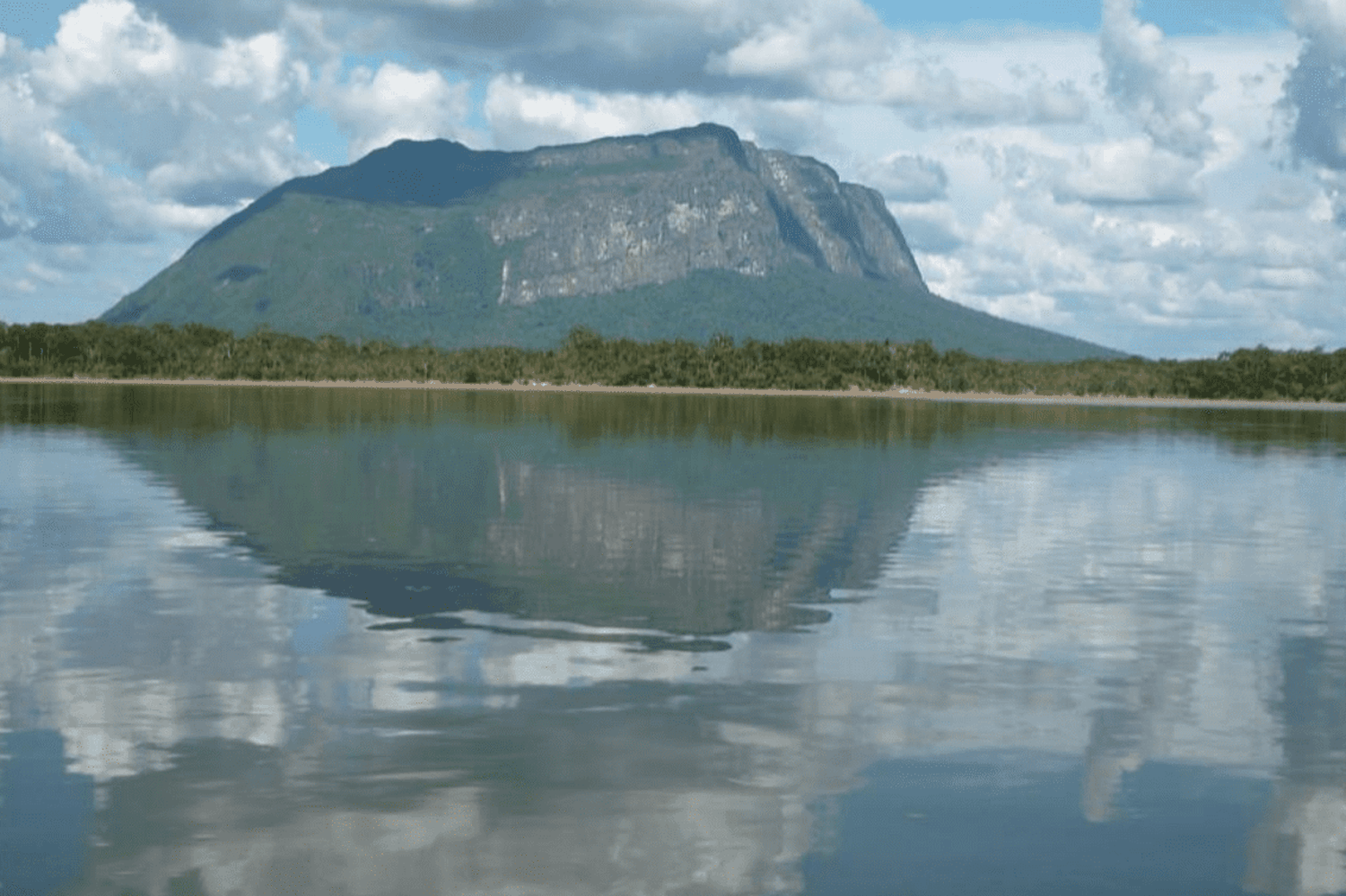 ¡ECOCIDIO EN EL AMAZONAS! Más de 700 hectáreas han sido deforestadas en el Parque Nacional Yapacana