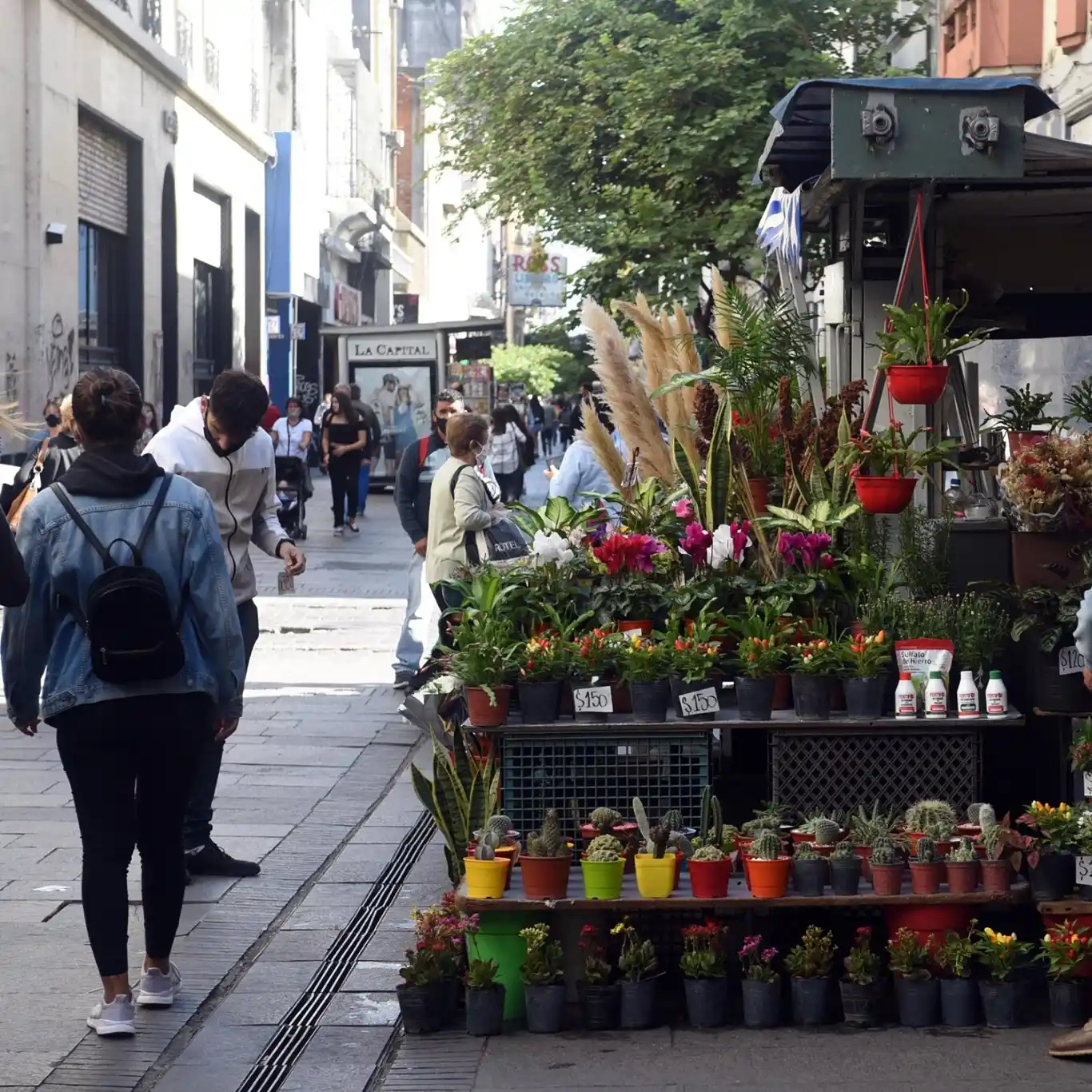 La ONU advierte que el coronavirus terminó por hundir las expectativas de prosperidad en la Argentina
