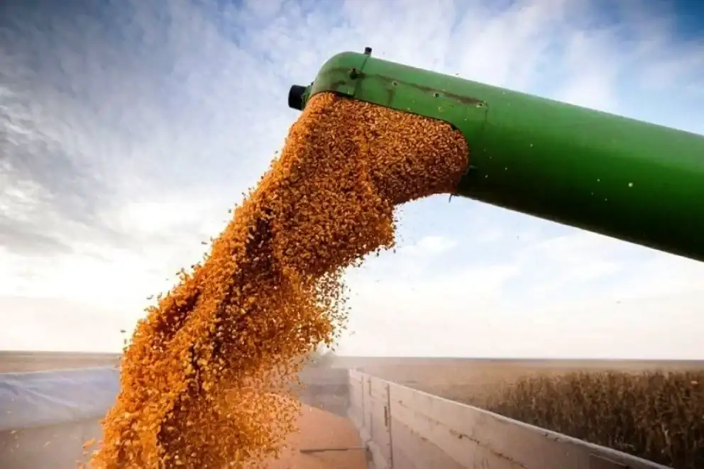 Entre Ríos exportó más de mil millones de dólares en el primer semestre y quedó octava en el ranking nacional
