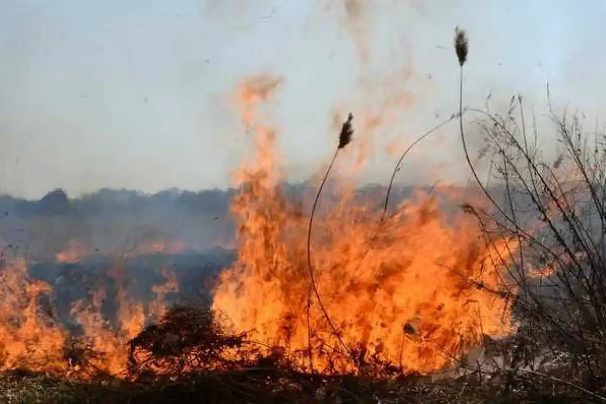 En un día, los Bomberos Voluntarios extinguieron una docena de incendios en diferentes puntos de la ciudad