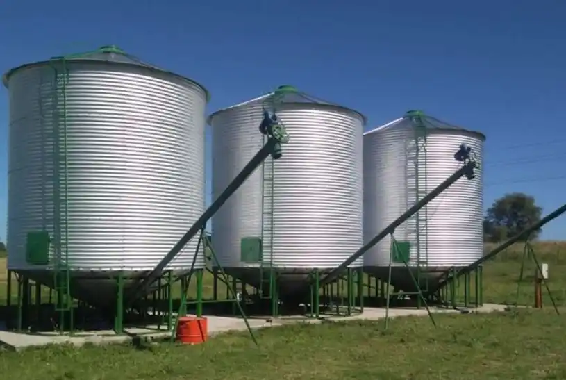 AFIP incautó más de 2.000 toneladas de granos sin declarar en un establecimiento de cría porcina en Chivilcoy