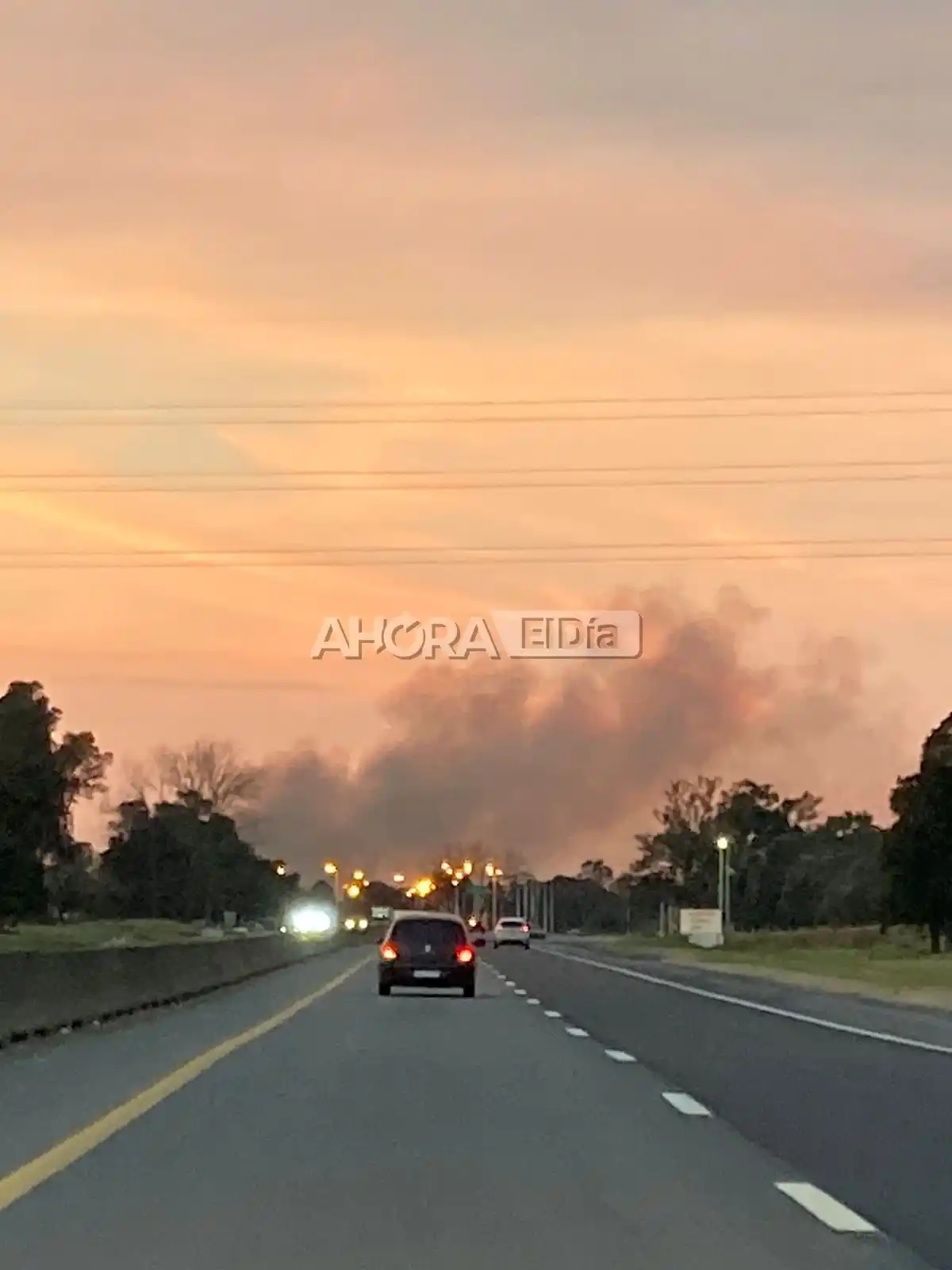 El Ministerio de Ambiente de la Nación presentó una denuncia por los incendios en el Delta