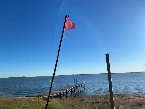 Alerta por altos niveles de cianobacterias en la laguna de Chascomús