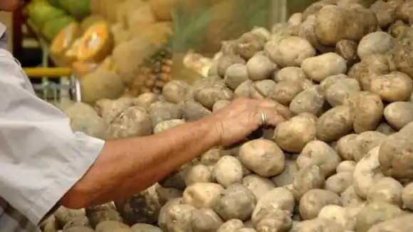 PAPA EN CRISIS: productores del rubro registran caída histórica de 90%