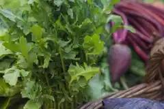 En diciembre, las ventas minoristas cayeron 13,7% anual y cerraron 2023 con una baja de 3,4%