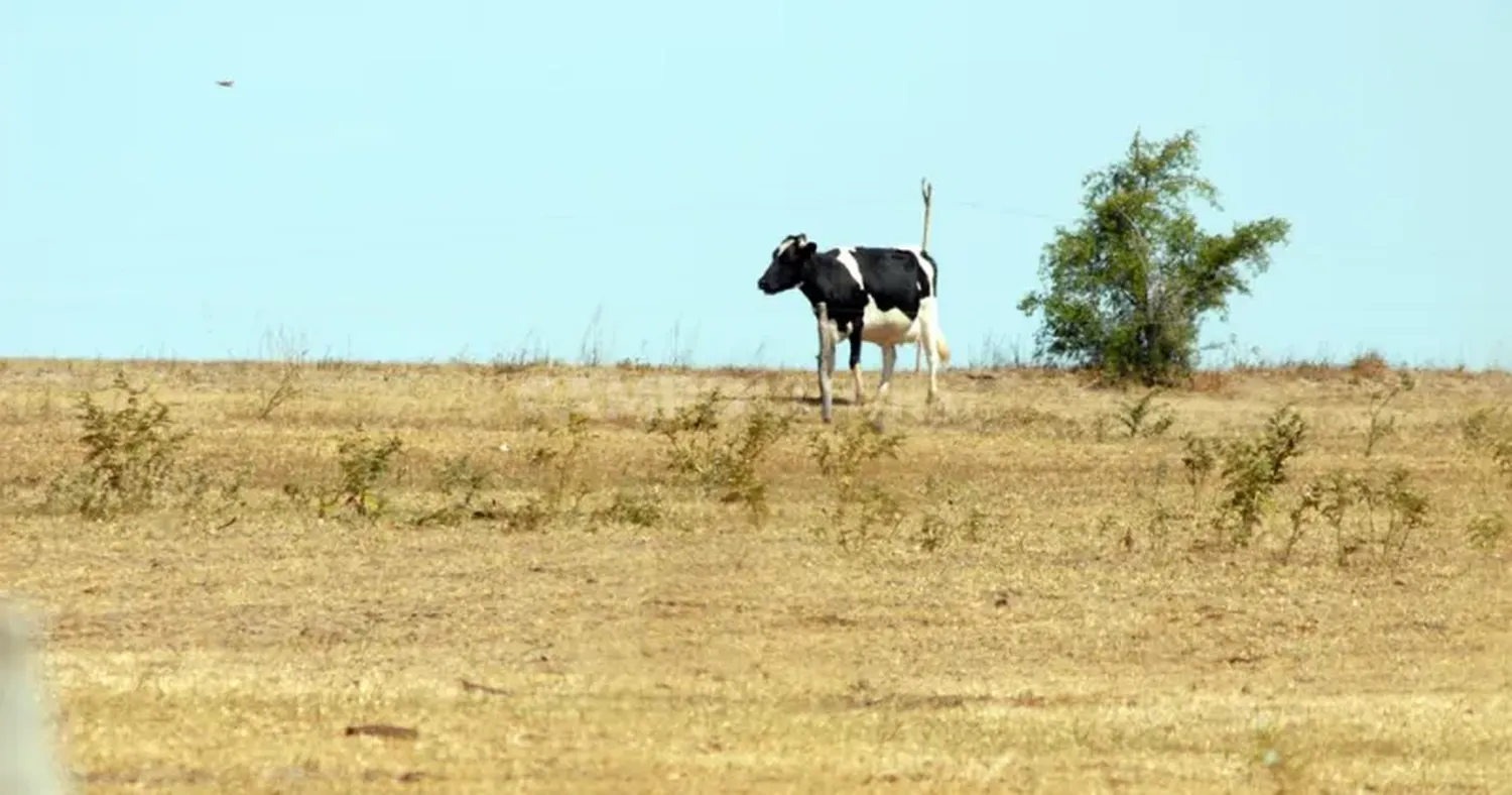 Convocan a la Mesa de Lechería de Santa Fe para analizar cómo pasar el invierno