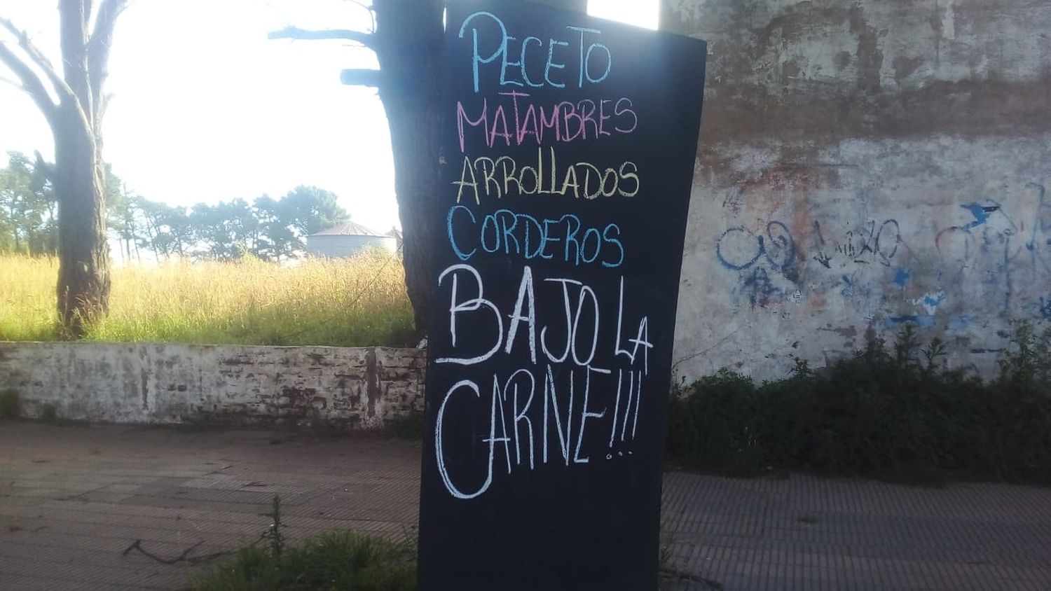 Sociedad