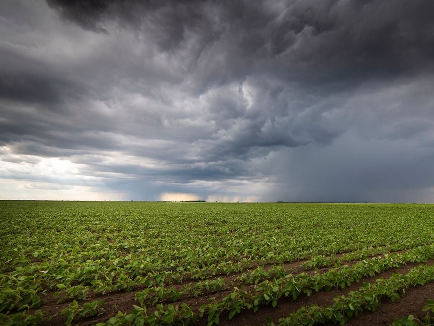 La sequía del verano y el exceso de lluvias de febrero atentan contra la producción local del agro