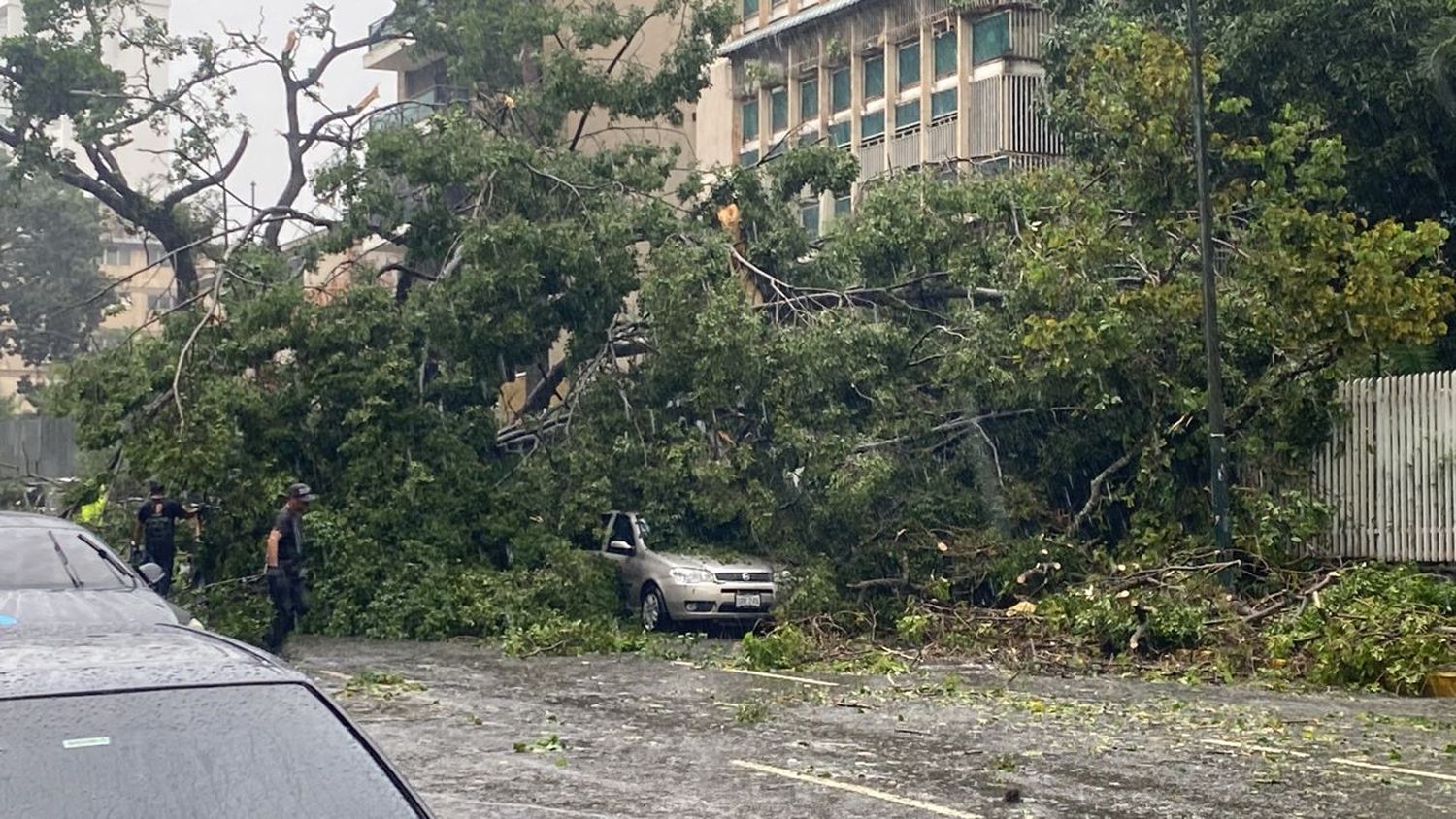 No fue un palo de agua normal, fue un TORNADO GRADO 1 lo que pasó por Chacao el #20Oct (+Detalles)